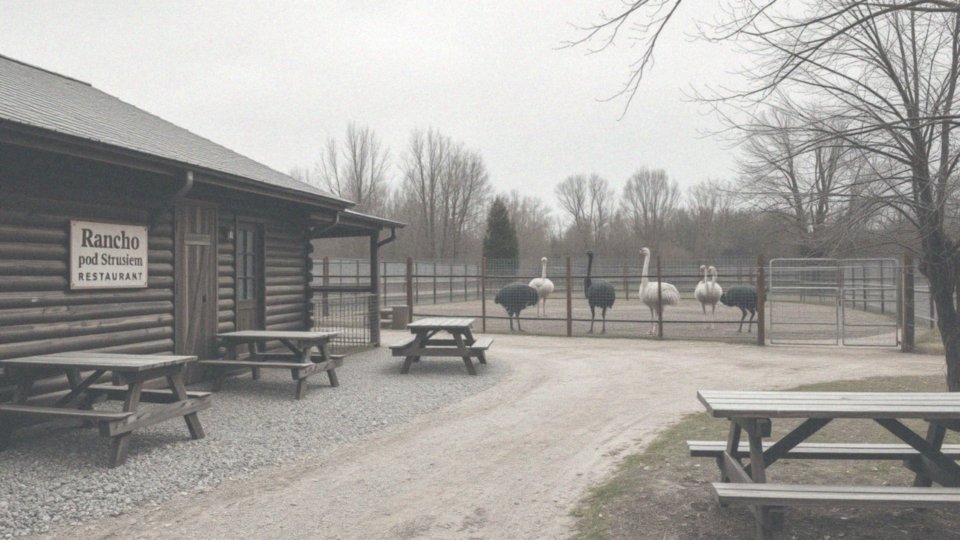 Jak sytuacja ekonomiczna wpłynęła na Rancho pod Strusiem?