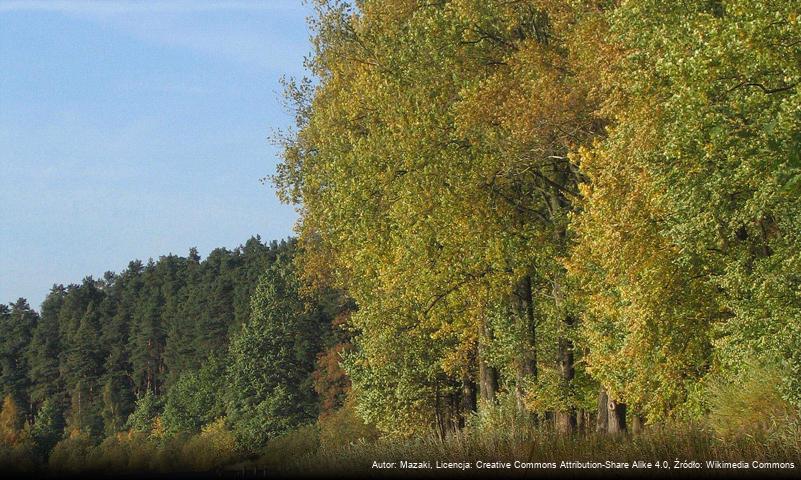 Jezioro Długie (Olsztyn)