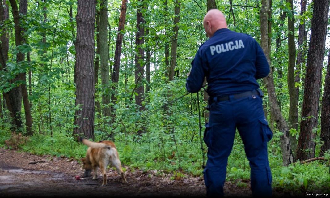 Poważne naruszenie przepisów drogowych na obwodnicy Olsztyna