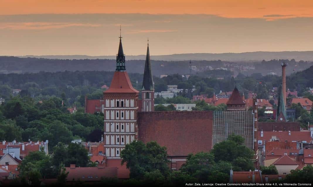 Atrakcyjne wydarzenia w Olsztynie podczas lutego w bibliotece Planeta 11